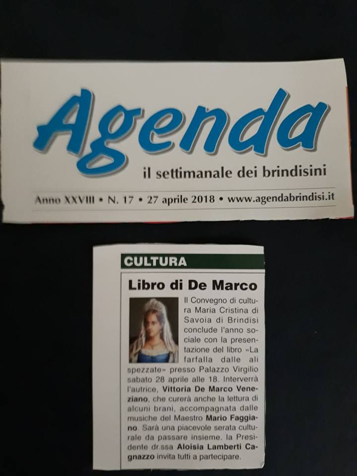 XII Articolo